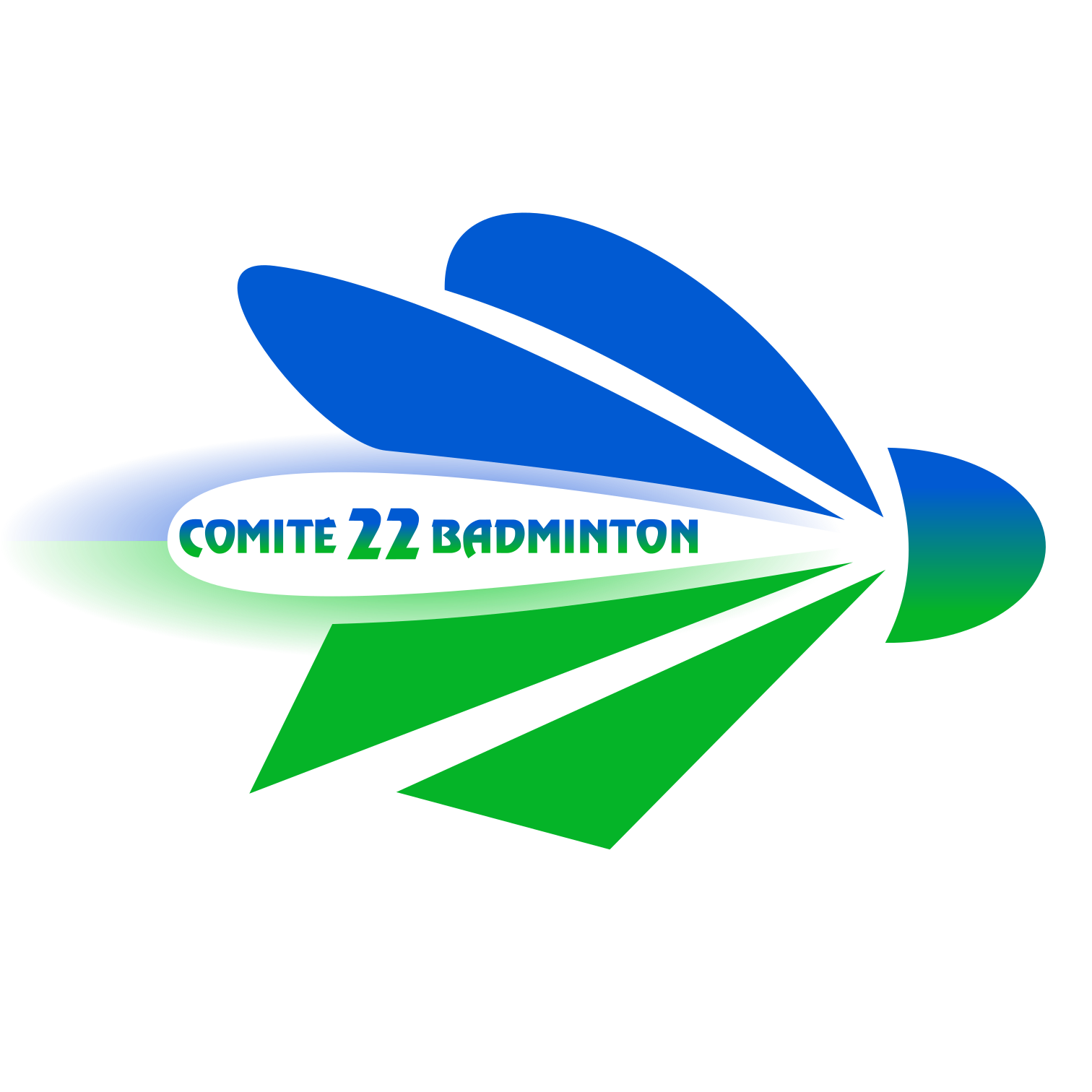 Comité départemental de Badminton des Côtes d'Armor